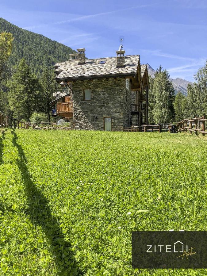 Zitelli Aosta Villa Cogne Buitenkant foto